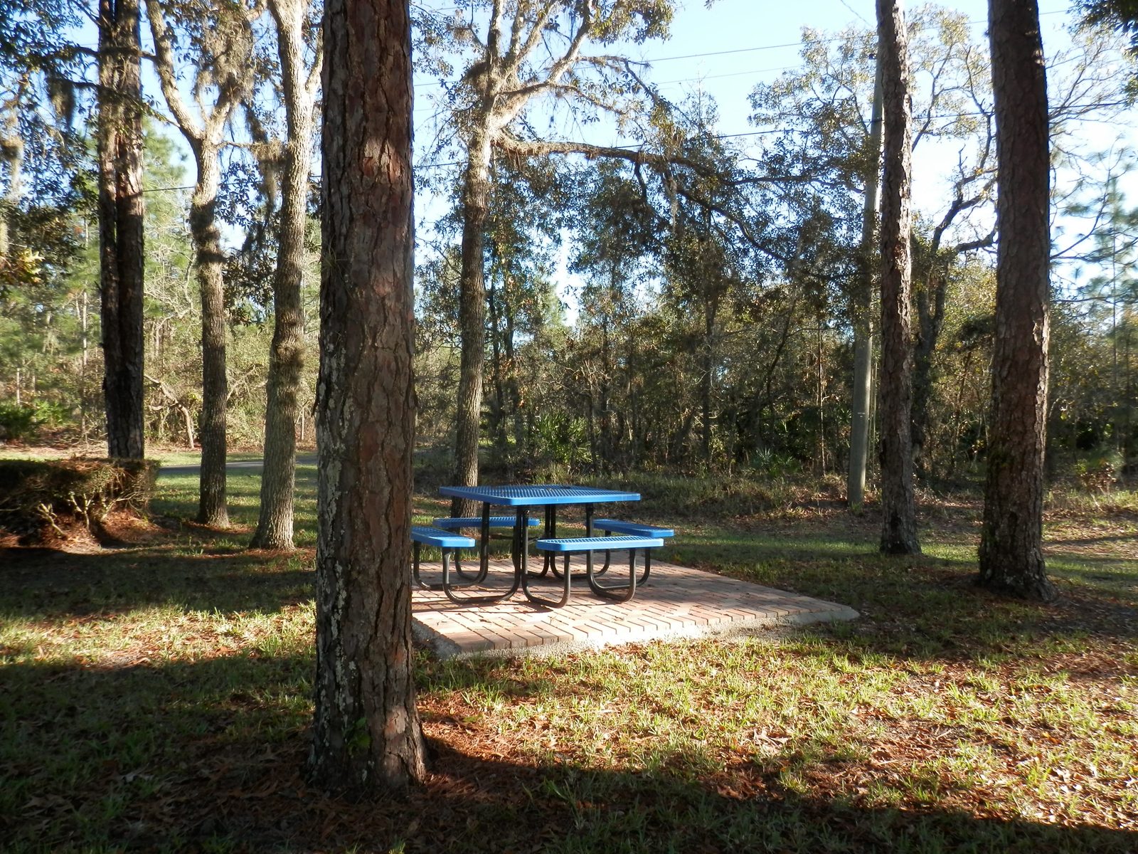 Pine Ridge community gathering space